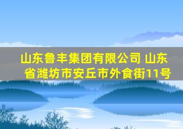 山东鲁丰集团有限公司 山东省潍坊市安丘市外食街11号